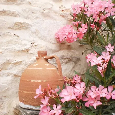 Svoronos Naousa (Paros)