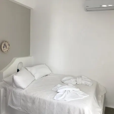 Svoronos Aparthotel Naousa (Paros)