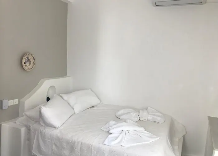 Svoronos 公寓式酒店 纳乌萨